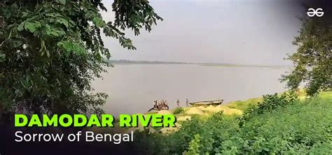 dagmar rivera|sorrow of bengal river.